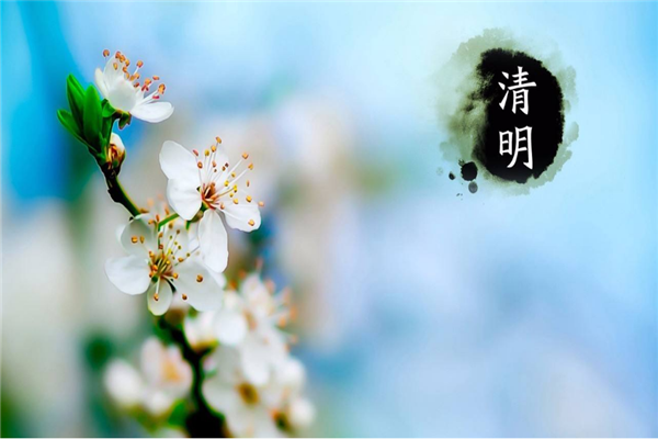 斯普瑞噴塑設備廠家 | 清明時節(jié)哀思中蘊含著希望